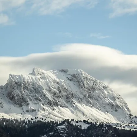 別荘 Maetzwiesen Hoeckli - Charmingstay *